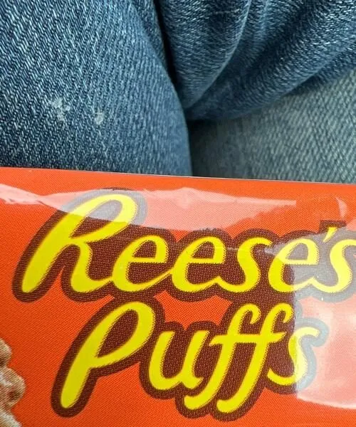 Peanut butter granola bar