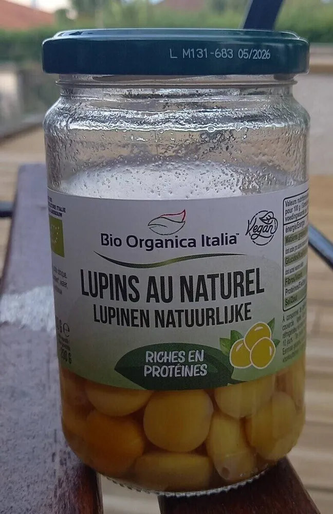 Graines de lupin