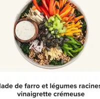Salade de farro et légumes racines avec vinaigrette crémeuse