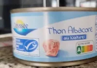 Thon albacore