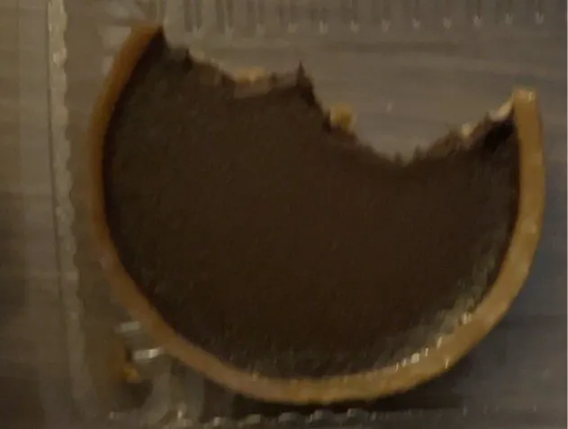 Tartelette chocolat