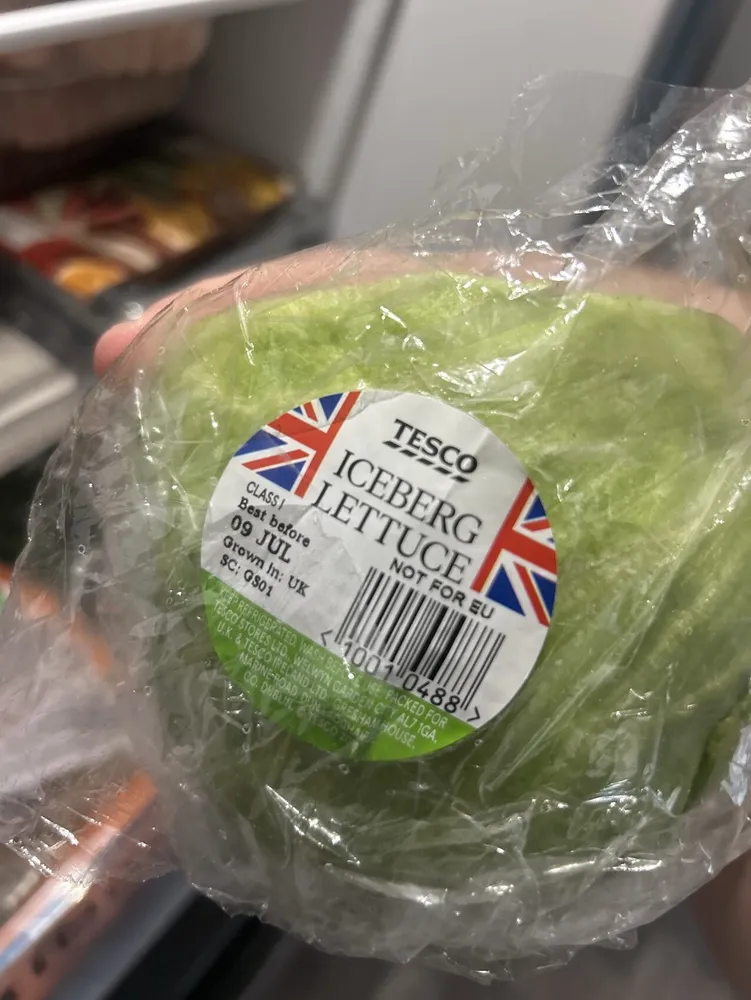 Iceberg Lettuce