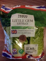 Little Gem Lettuce