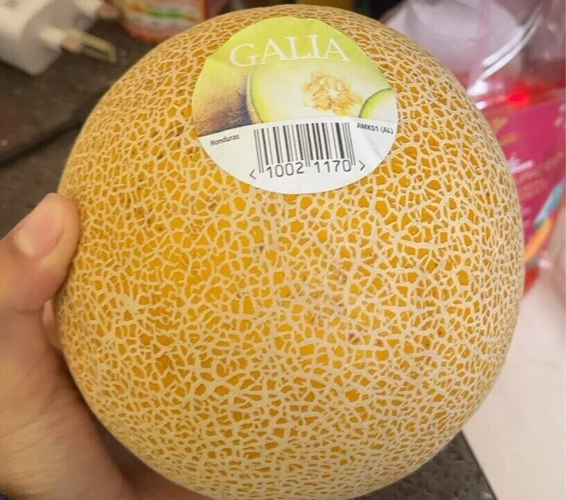 Galia