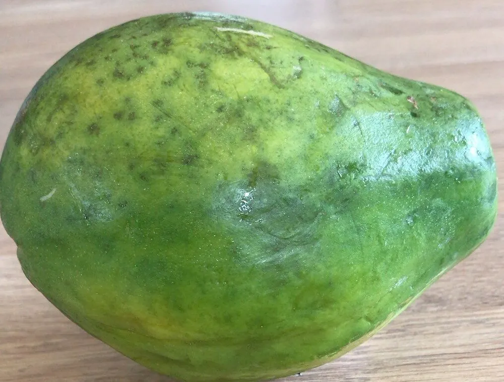 Papaya