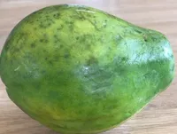 Papaya
