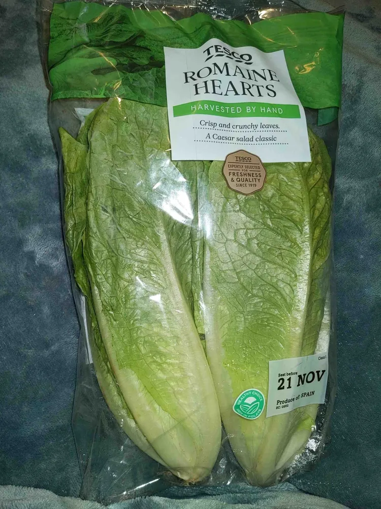 Romaine hearts