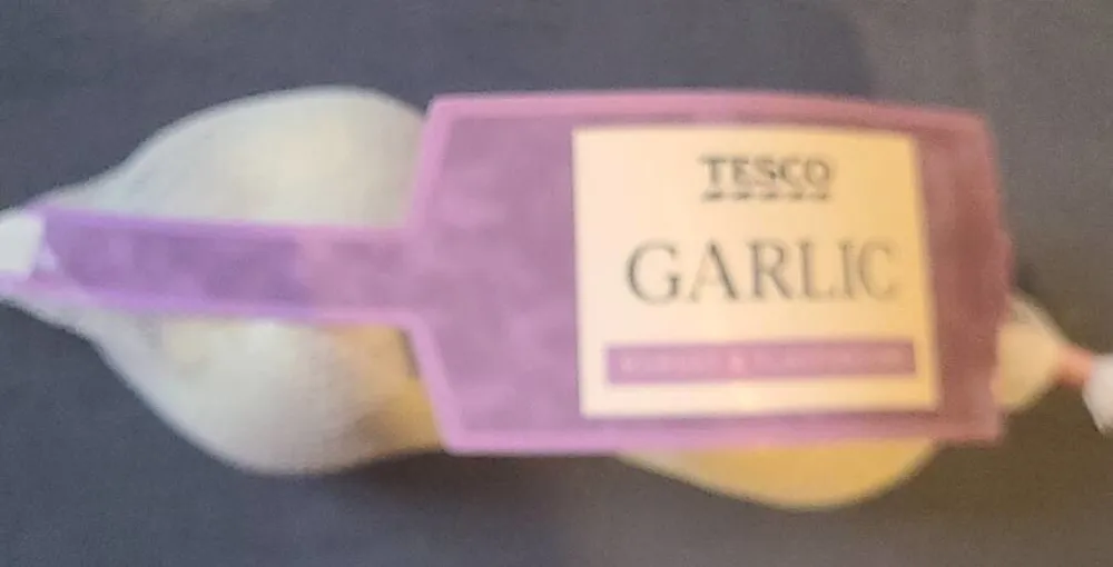 Garlic
