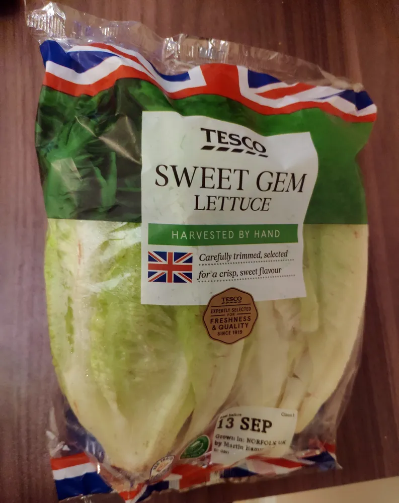 Lettuce