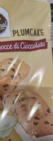 Plumcake con gocce di cioccolato