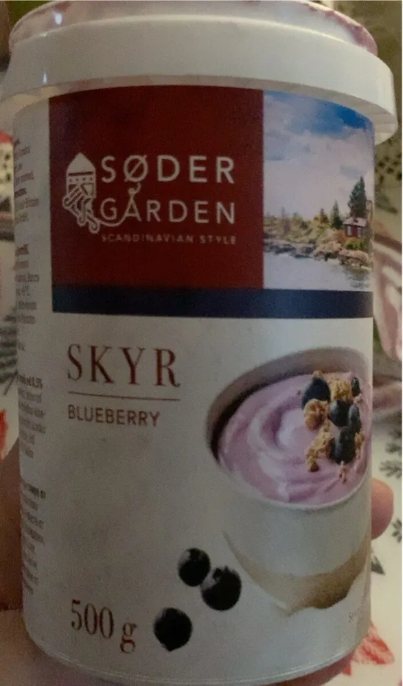 Skyr blueberry