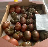 Tomate côtelée