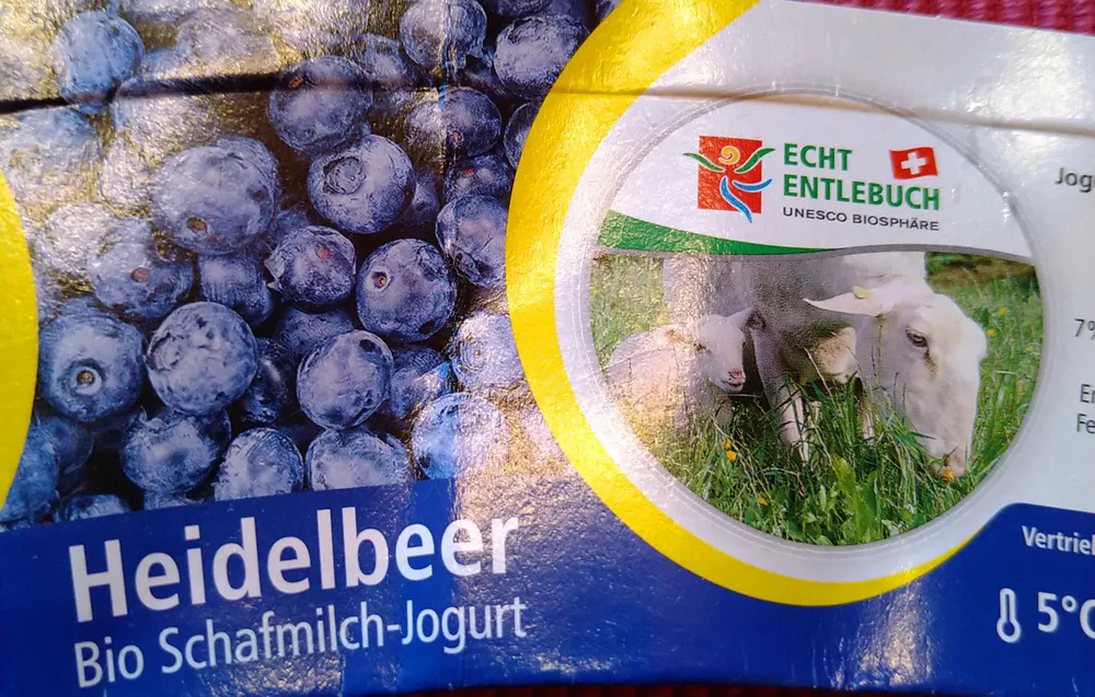 Heidelbeer Bio Schafmilch-Jogurt