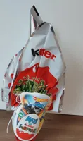 Maxi kinder surprise