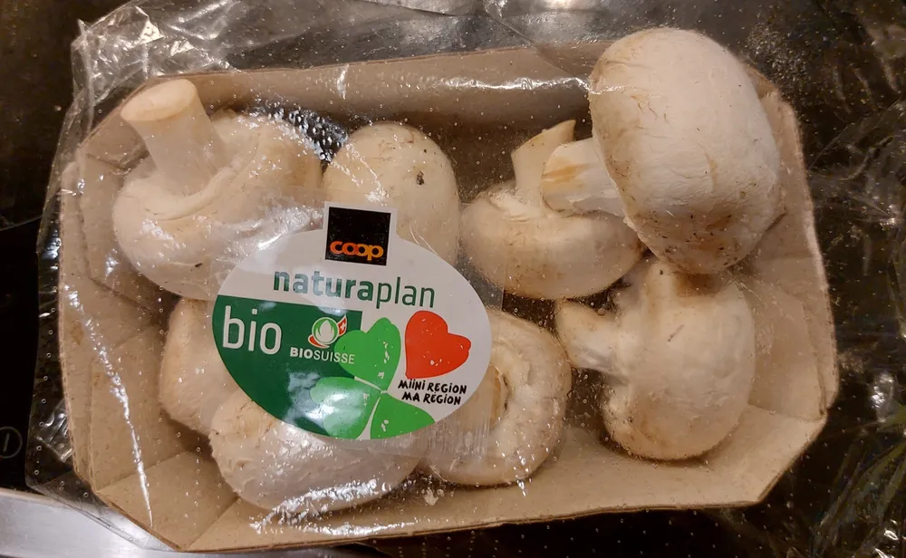 champignons blancs