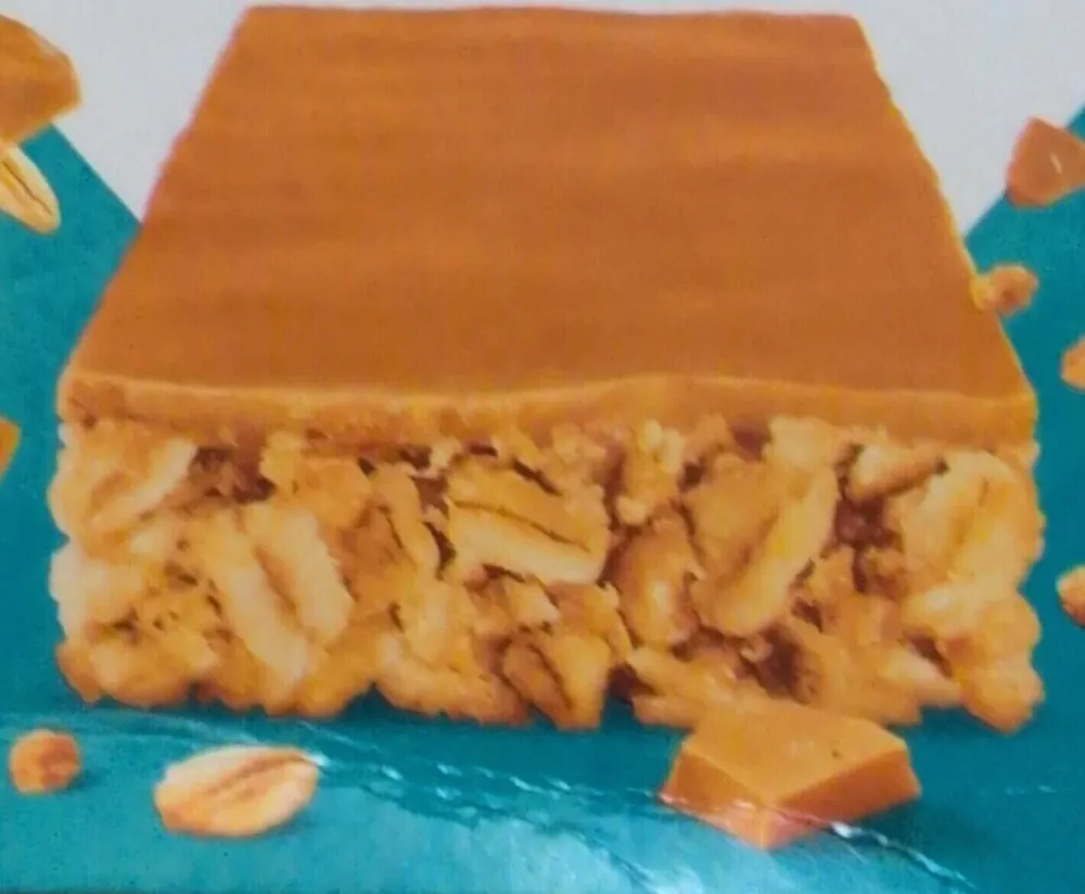 Trek protein oat bars salted caramel