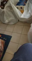 beyond burger