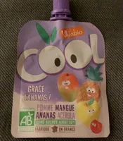 Compote gourde pomme mangue ananas acérola