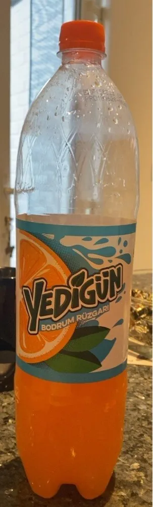 Yedigün bodrum rüzgari