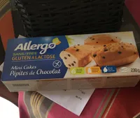 Mini cake pepite chocolat