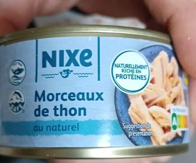 Morceaux de thon