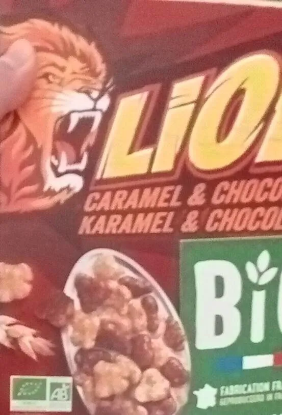 Lion bio