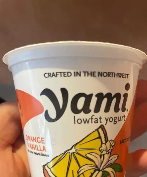 Low-fat yogurt