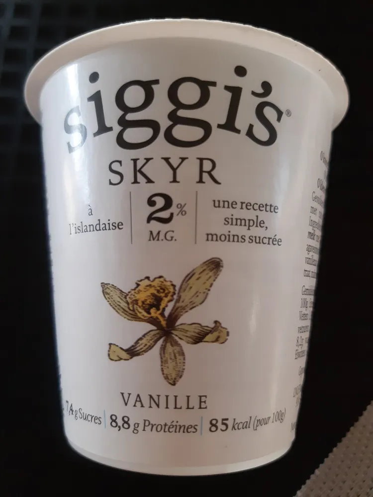 SIGGI'S SKYR