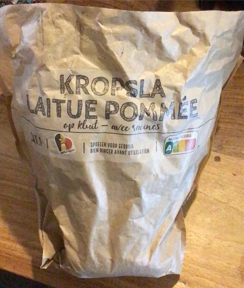 Laitue pommée