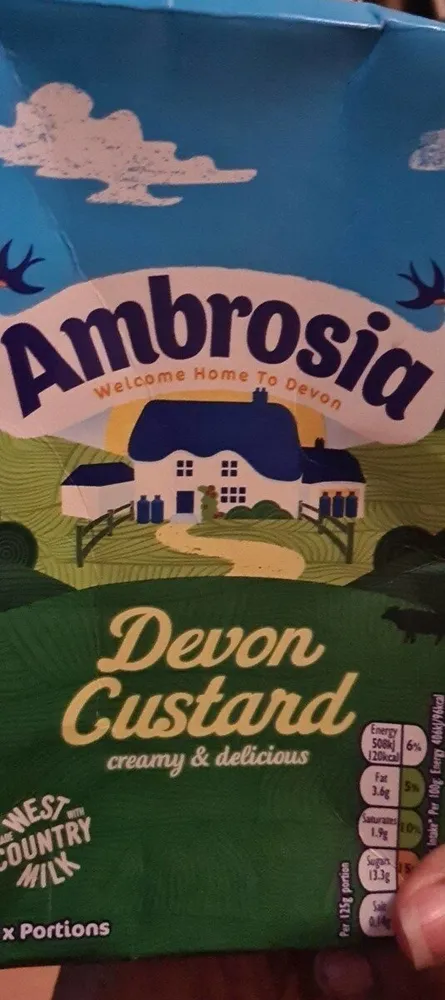 Devon custard