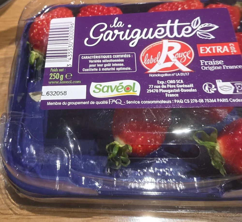 Gariguettes