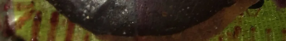 Tartelettes au chocolat x2