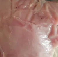 Tacchino
