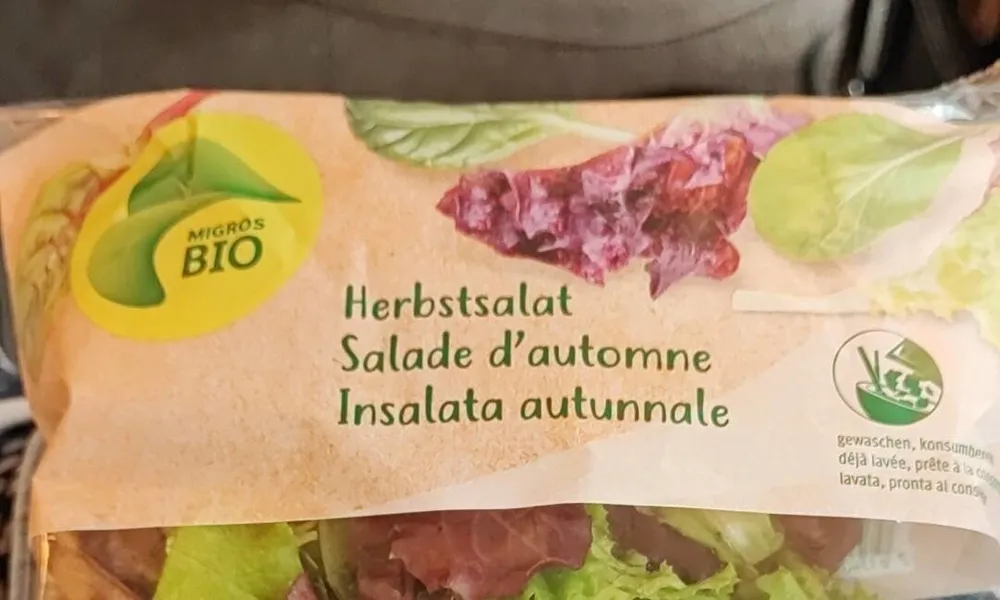 Herbstsalat