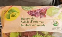 Herbstsalat