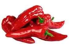 Rote Spitzpaprika