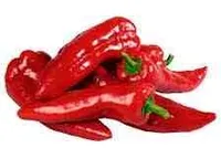 Rote Spitzpaprika