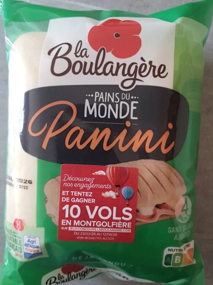 Panini