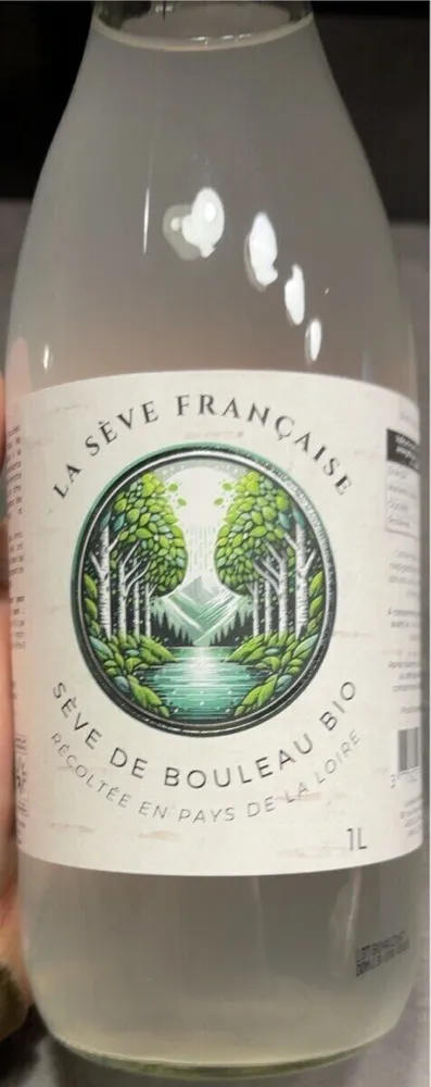 Seve de bouleau
