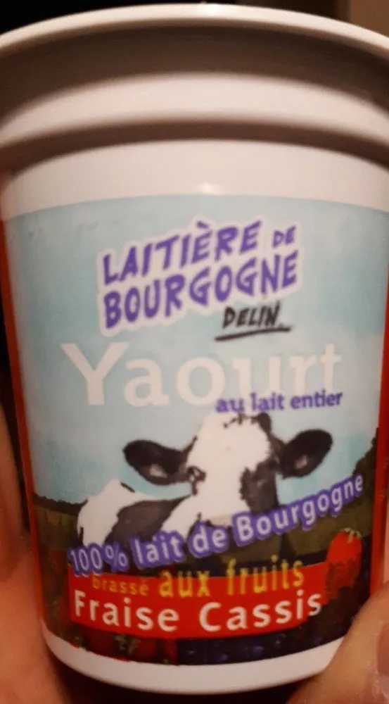 Yaourt au lait entier