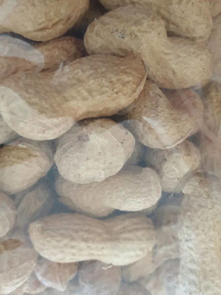 Arachides coques grillées