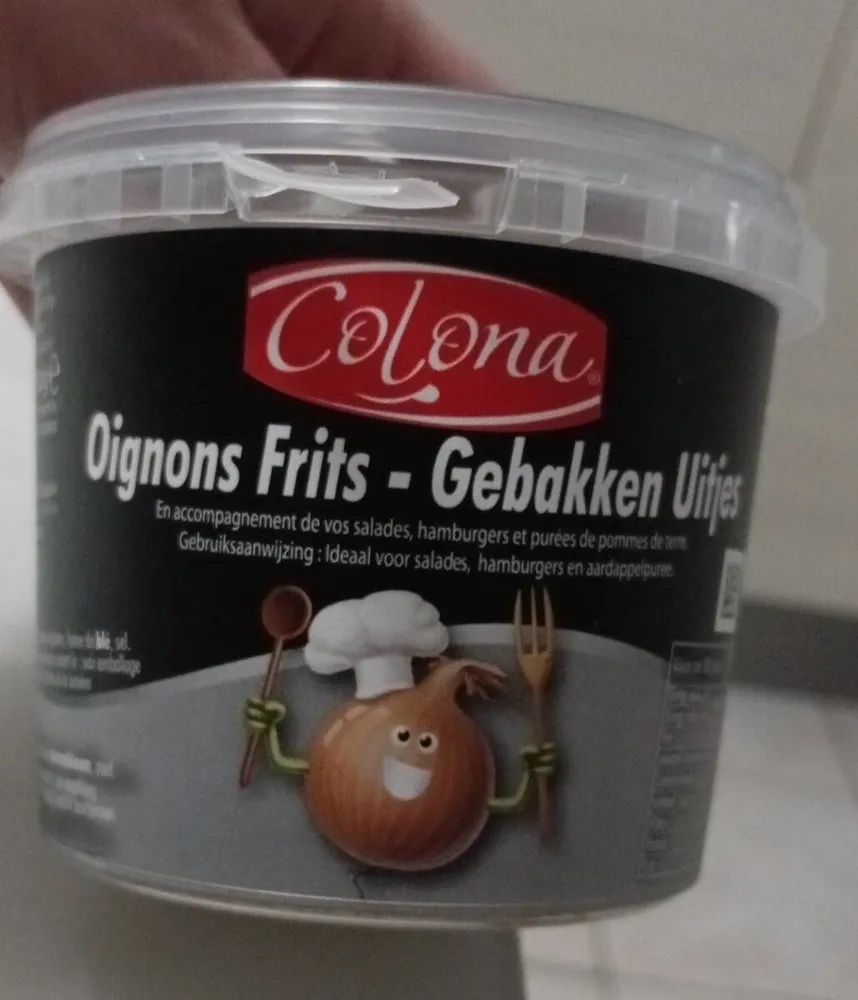Oignons Frits