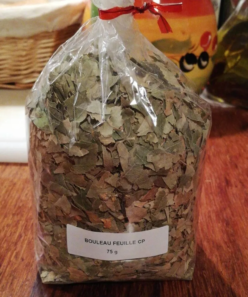 Feuille de bouleau