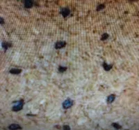 Pissaladière