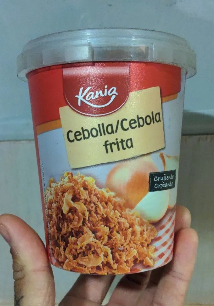 Cebolla frita