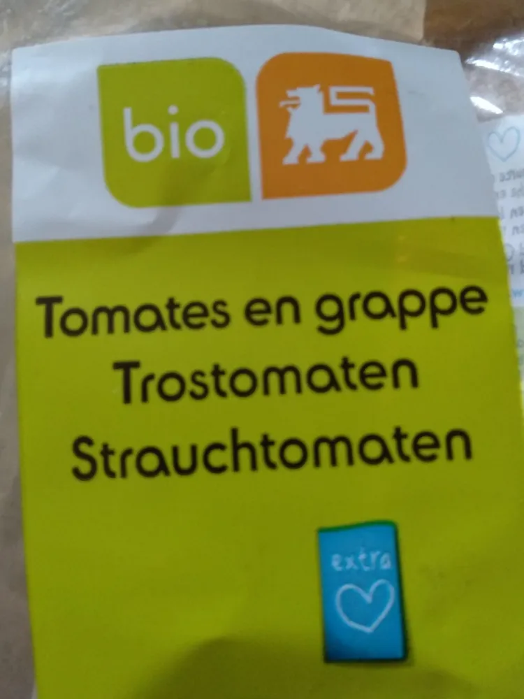 Tomates en grappe bio