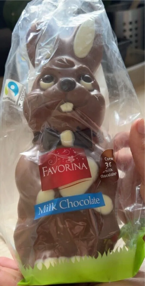 Lapin en chocolat
