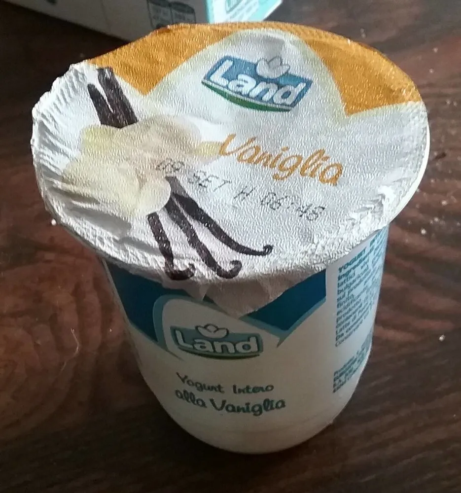 Yogurt intero alla vaniglia