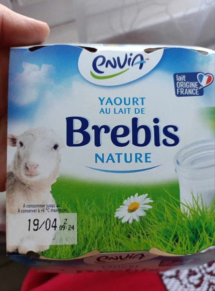 Yaourt au lait de brebis