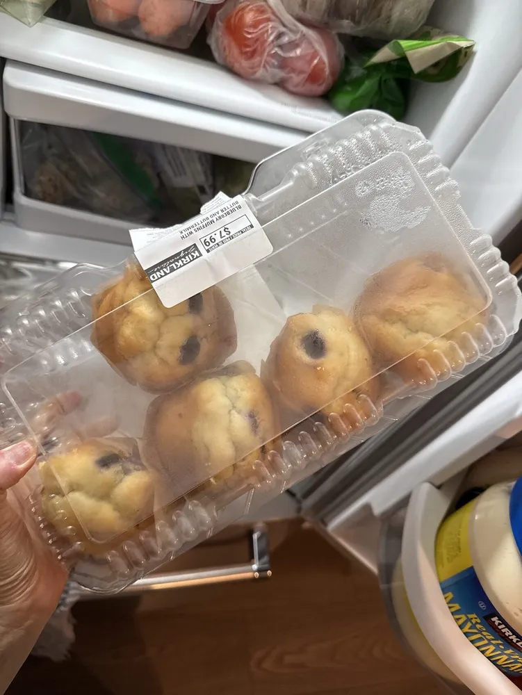 Blueberry Muffin